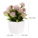thumbnail image 2 of HAMPPLIES 4Ud Plantas Artificiales En Maceta Decorativas Con Bonsái Para Comedor Y Escritorio, 2 of 7