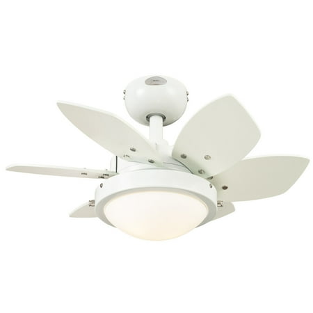 Quince 24 Inch Reversible Six Blade Indoor Ceiling Fan