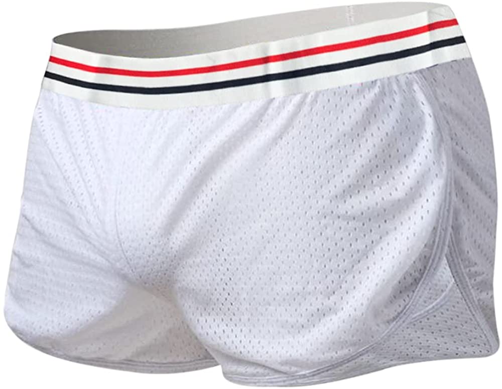 Mens Mesh Shorts See Through with Large 