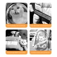thumbnail image 4 of Dwellin Portable Pet Front Backpack Carry Small Dogs and Cats for Outings Travel with Pocket and Hands Free Design (Grey), 4 of 7