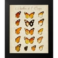 thumbnail image 2 of Vision Studio 15x18 Black Modern Framed Museum Art Print Titled - Papillons de LEurope II, 2 of 5
