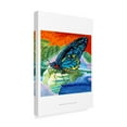 thumbnail image 2 of Trademark Fine Art 'Poised Butterfly II' Canvas Art by Carolee Vitaletti, 2 of 4