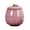 Pink, variant on Coffee canister, tea canister, mini tea caddy, multifunctional tea caddy, ceramic coffee canister, used in the kitchen for storing tea, grains and sugar