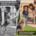 thumbnail image 5 of Ultrasonic Pet Trainer for Dogs – Adjustable Anti-Bark Device with Flashlight, Indoor & Outdoor Dog Training Tool, 5 of 7