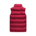 thumbnail image 4 of Chaleco informal de cuello de algodón de plumón de invierno para hombre, chaleco grueso de talla grande, chaleco para hombre, 4 of 5