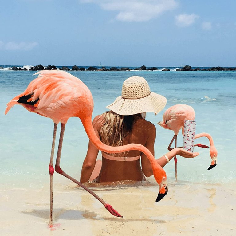 Straw Hat Flamingo - Flamingo Stuff