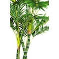 thumbnail image 3 of Vintage Home by Vintage Home 78-in Tall Palm Tree in 16-in Fiberstone Planter 52L 52W 77.5H, 3 of 3
