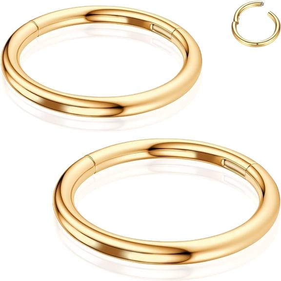 DESIGNICE Titanium Nose Rings Hoops: 2Pcs 20G 18G 16G Septum Clicker Cartilage Helix Daith Earring 6Mm 8Mm 10Mm Conch Piercing Jewelry Black Silver Gold