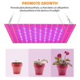 thumbnail image 3 of Lámpara de de plantas de interior completo con luz de crecimiento LED para plantas de invernadero hidropónicas de interior y flores 169 LED shamjiam luces de cultivo de interior, 3 of 8