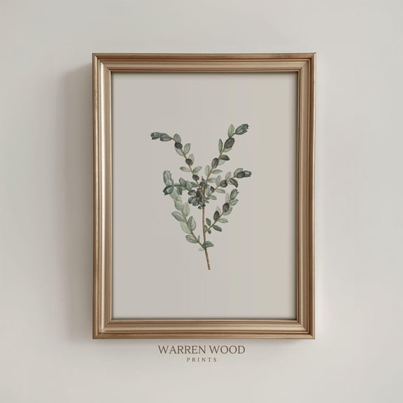 Neutral Botanical Wall Art, Vintage Leaf Illustration Print, Off,White Green Plant Decor, Rustic Cottagecore, Minimalist Leaf Art Home Decor #1675, Unframed Poster Size 8x12