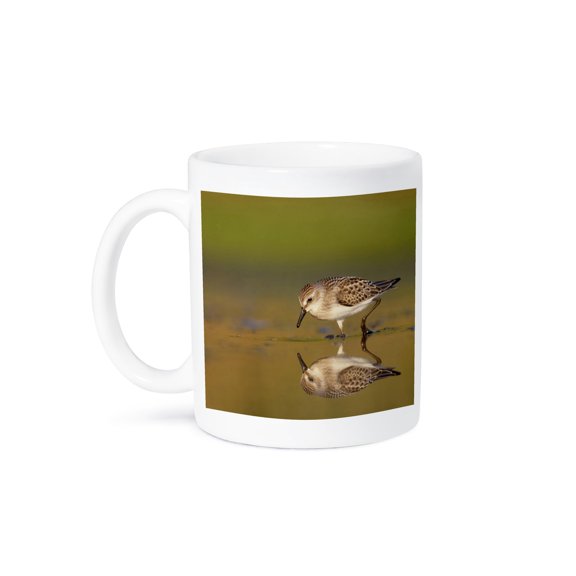 3dRose, New York City, Jamaica Bay Refuge, Sandpiper bird - US33 BJA0045 - Jaynes Gallery, 15oz Mug