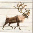 thumbnail image 4 of Great Art Now Northern Wild by James Wiens 3 Piece Canvas Art Set Each 14W x 14H, 4 of 5
