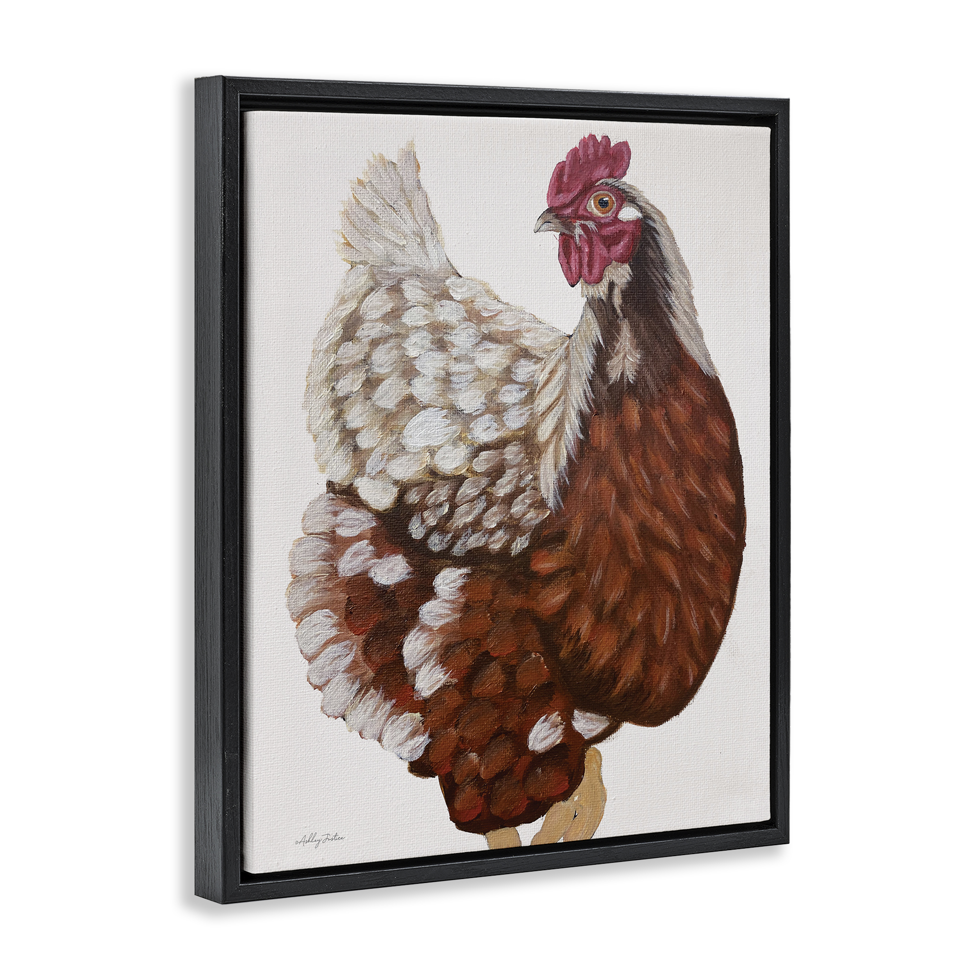 Stupell Industries Traditional Chicken Portrait Animals & Insects Painting Black Floater Framed Canvas Art Print Wall Art, 25 x 31