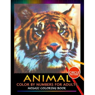 Color By Number Quest: Squares [Book]