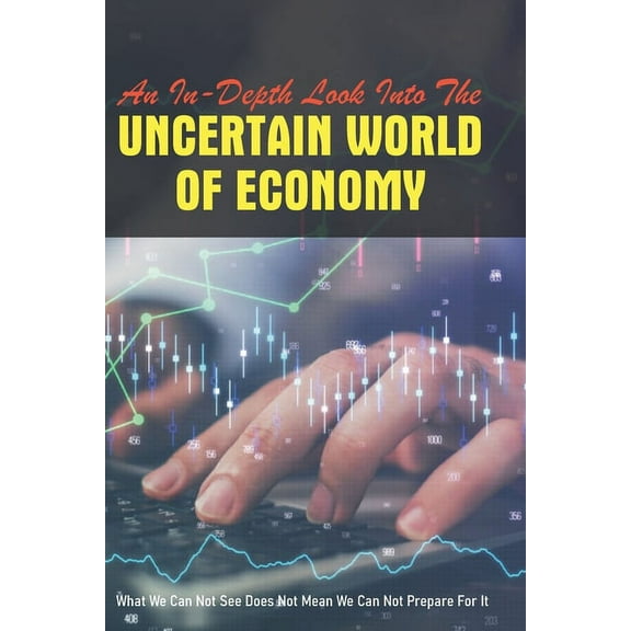 An In-Depth Look Into The Uncertain World Of Economy (Paperback)