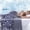Grey - Starfish, variant on Cooling Blanket Throw 50"x70" for Hot Sleepers, Arc-Chill Q-Max>0.5 Cool Fiber, Absorbs Heat to Keep Cool, Blue Lightweight Breathable Coastal Theme Summer Cold Blankets for Sofa, Bed
