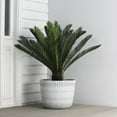 thumbnail image 5 of 16" Shelton Planter, 5 of 5