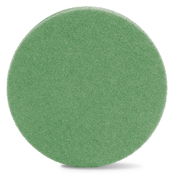 FloraCraft FloraFōM 10" Green Foam Disc, 12 Pack