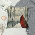 thumbnail image 2 of Awypu &nbsp;Cardinal Pillow Covers Christmas Red Bird Farmhouse Pillow Covers  Hello Winter Animal Pillow Cases Square Pillowcase  Xmas Cushion Cover for Sofa, 2 of 5
