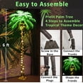 thumbnail image 3 of ZXNYH 5FT LED Lighted Palm Tree with Coconuts Outdoor Artificial Palm Tree Prelit Christmas Tree Tropical Palm Tree Lights for Home Patio Pool Hawaiian Luau Jungle Party Tiki Bar Indoor Decoration, 3 of 4