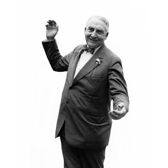 Print: Warren G. Harding, 1920