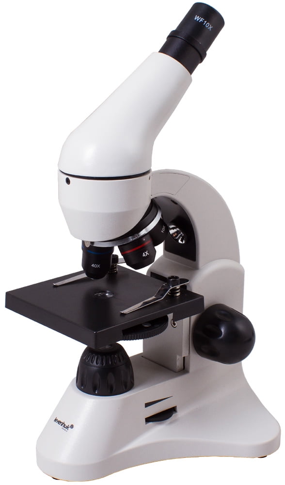 Image of Levenhuk Rainbow 50L microscope Walmart