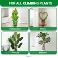thumbnail image 6 of Moss Pole for Climbing Plants, 2 Pack 23.6 Inch Bendable Plant Support Stakes with Coco Coir & Jute Rope, Indoor Trellis for Monstera, Pothos, Philodendron Houseplants, 6 of 8