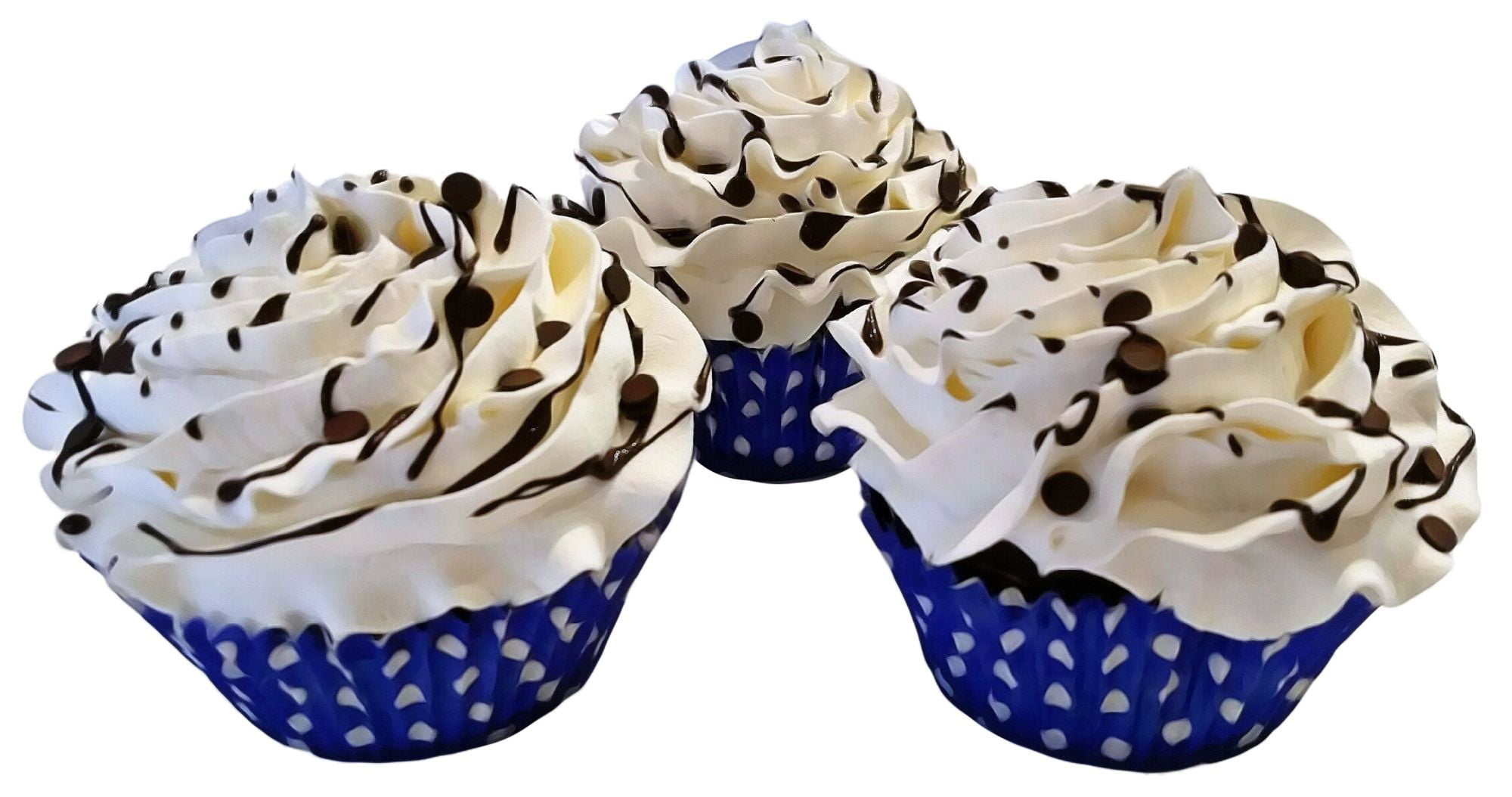 Chocolate Chip Fake Cupcakes Set of 3 Dezicakes 