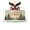 G, variant on Lksixu United States 250th Anniversary Ornaments, 2D Acrylic White House Design Patriotic Hanging Decorations, Commemorative Decorative Pendant for Memorial Independence Day Holiday