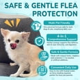 thumbnail image 4 of Woyamay Gotas 4 en 1 para Prevención de Pulgas y Garrapatas para Perros y Gatos, 4 of 8