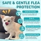 thumbnail image 4 of Woyamay Gotas 4 en 1 para Prevención de Pulgas y Garrapatas para Perros y Gatos, 4 of 8