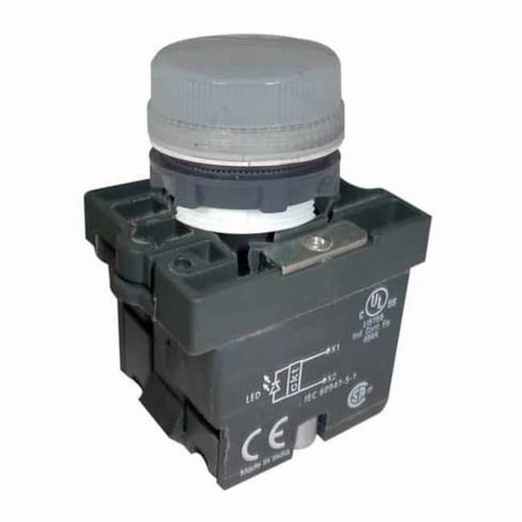 Dayton Pilot Light,22mm,LED,White 30G216