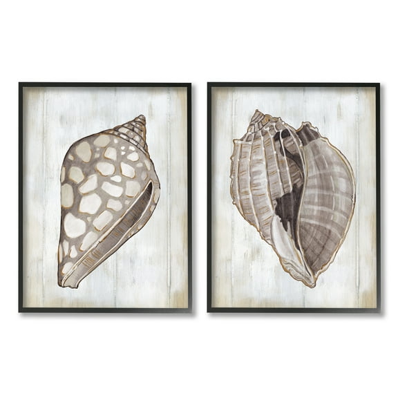 Stupell Industries Spotted Seashell Rustic Marine Life Beach Sign Graphic Art Black Framed Art Print Wall Art, Set of 2, Design by Carol Robinson
