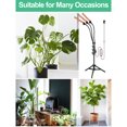 thumbnail image 3 of Lámpara de crecimiento de plantas Irfora Luces de cultivo LED para plantas de interior Luz de planta de espectro completo con soporte de trípode ajustable Lámpara de cultivo de piso rojo blanco con te Irfora Lámpara de crecimiento de plantas, 3 of 7