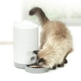 thumbnail image 4 of Catit PIXI Smart Automatic Cat Feeder with Remote Control App, 4 of 8