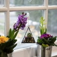 thumbnail image 5 of D'Eco Glass Geometric Plant Terrarium 3Pk - Hanging Brass Triangle, House & Prism Planters - Succulents, Air Plants, Moss - Home, Wedding & Office Decor- Gift Idea for Plant Lovers, 5 of 5