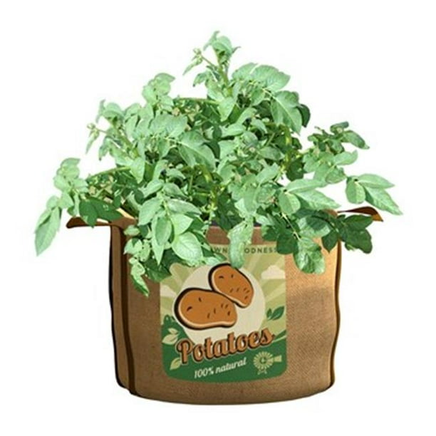 Panacea Products PAN84388 30 Gal Grow Bag Potatoes