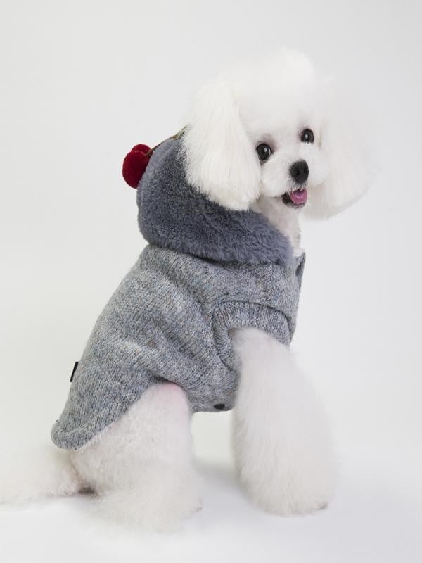 little cherry pet