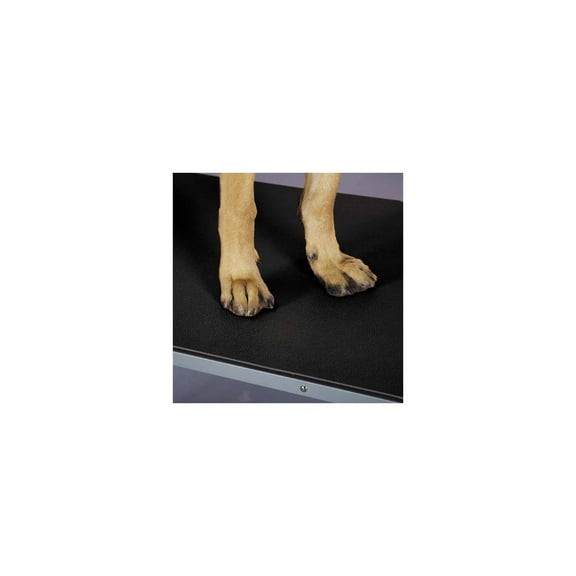 Top Performance TP Table Mat 24x48In Blk