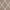 Taupe, variant on Curtainking Linen Curtains Moroccan Tile Print Drapes 108 inch Light Filtering Farmhouse Window Curtain for Living Room Bedroom Grommet 2 Panels Sage