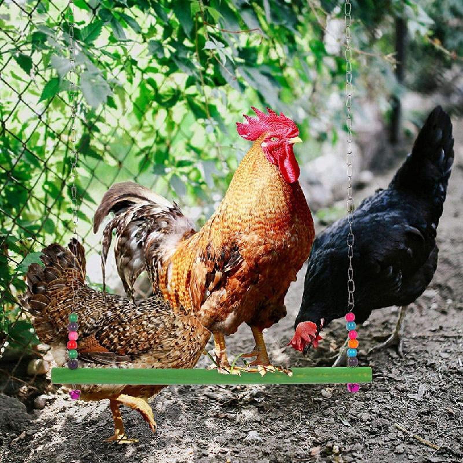 4Pcs Chicken Toys for Hens Large Birds Swing Toys Colorful Ladder and Perch Metal Vegetable Feeders Hanging for Coop