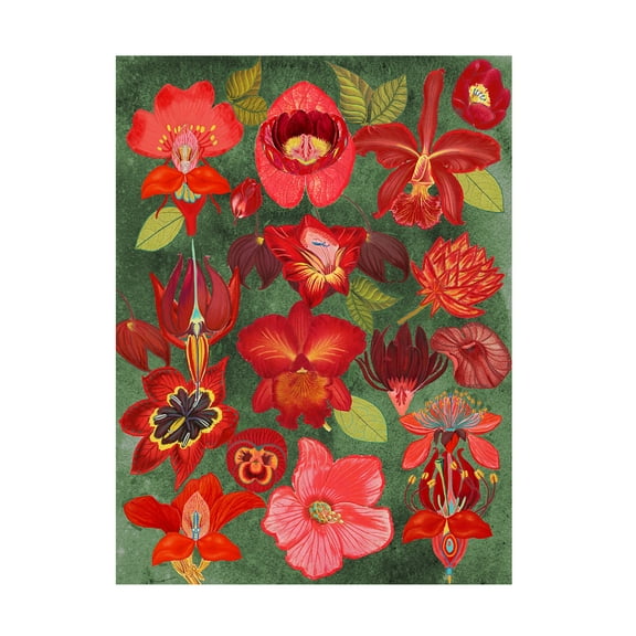 Trademark Fine Art giovanna nicolo Final Eclectic Garden Canvas Wall Art