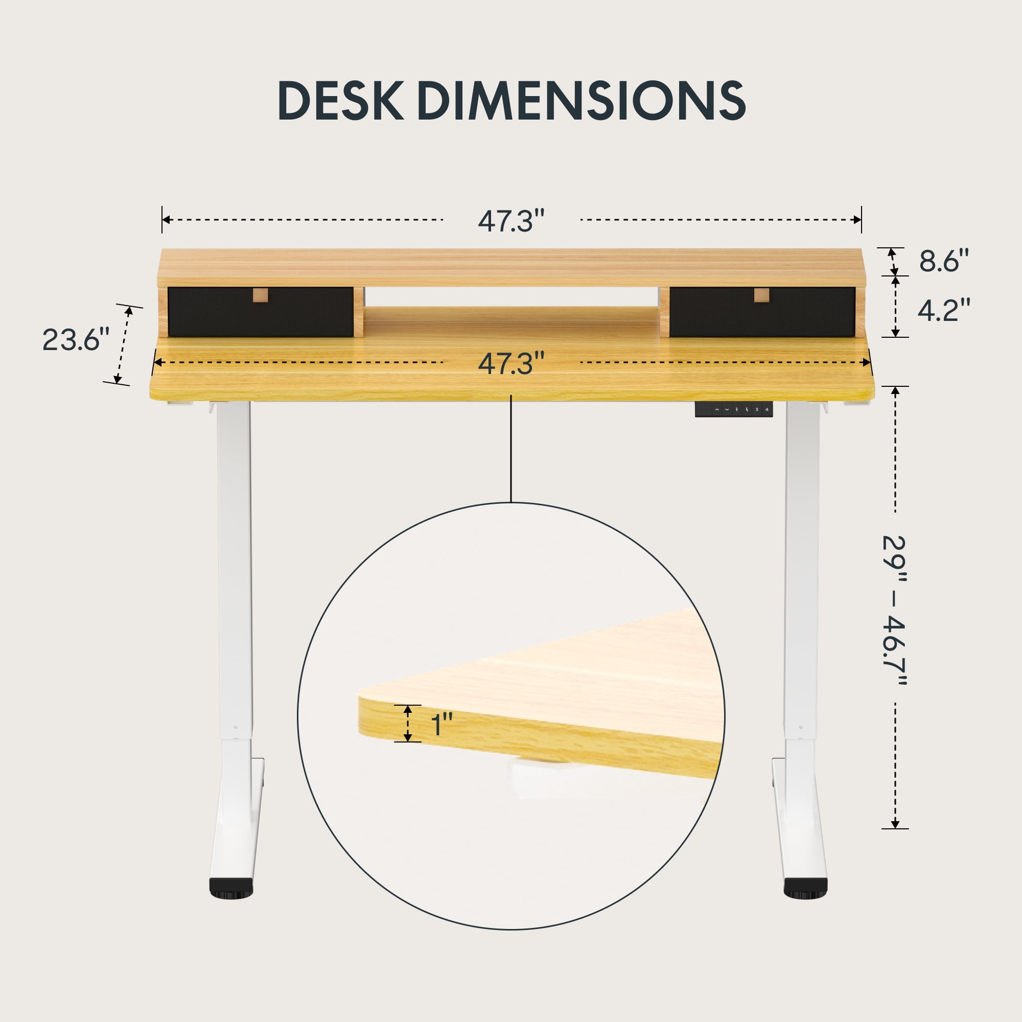 FlexiSpot 48"x24" Electric Standing Desk with One-Piece Desktop, 2 Removable Drawers, Headphone Hook, 4 Height Memory Presets, 250lbs Capacity Ergonomic Sit Stand Desk with Monitor Stand