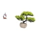 thumbnail image 5 of Figura Decorativa De Bonsái De Resina "Pensador Abstracto", Escultura De Planta Artificial Coleccionable Para Dormitorio, Oficina, Tienda, Estantería, Mesa O Centro De Mesa., 5 of 8