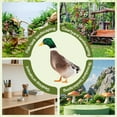 thumbnail image 7 of ICERUN 3Pcs Garden Statues,Acrylic Mallard Duck Sculpture Yard Art,Natural Vitality Statues Outdoor Garden Decor,Style1, 7 of 7