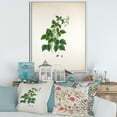 thumbnail image 2 of Designart 'Ancient London Plants VIII' Farmhouse Framed Canvas Wall Art Print, 2 of 5