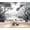 Black/White, variant on Wallpaper Leaves Nature Botanical Plants Palm Abstract Tropical Leaves Banana Peel and Stick Wall Murals 100"H x 144"W Removable PVC Wall Paper Self-Adhesive Wall Decor for Bedroom Living Room