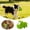 Green, variant on Ailezt Pig Squeaky Dog Toy, 1 PCS Interactive Rubber Dog Chew Toy - Latex Spot Grunting Toys
