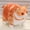 06, variant on Simulated 3D Super Soft Fat Cat Stuffed Animal,Lifelike Cat Plush Pet Toy Pillow Home Decor Gift