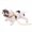 White, variant on Nilvkv Realistic Bully Dog Resin Car Figurine Decor 3D Detailed Dashboard Ornament with Suction Cup for Windshield Interior Decoration, Car Accessories